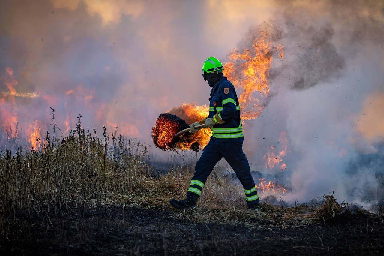 Wildland Strike Teams